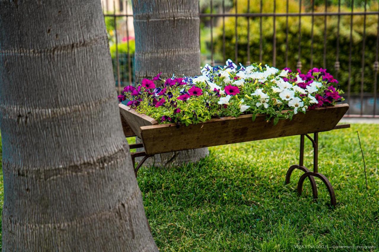 Holiday home Etna Cocus Santa Venerina