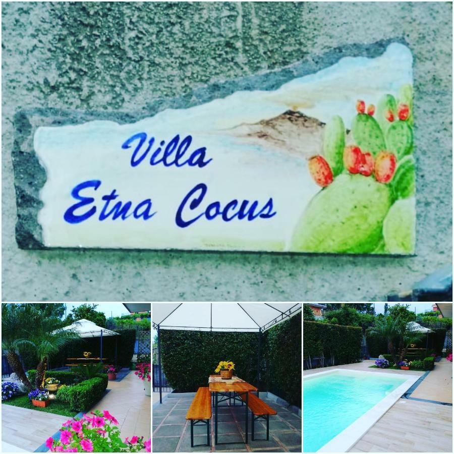 Etna Cocus *